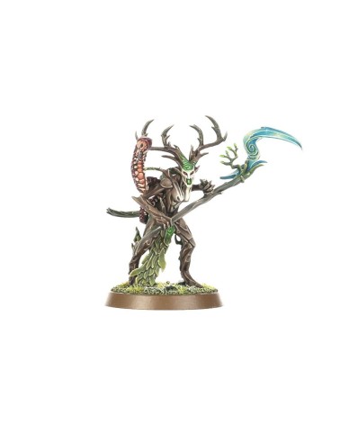 VANGUARDIA: SYLVANETH