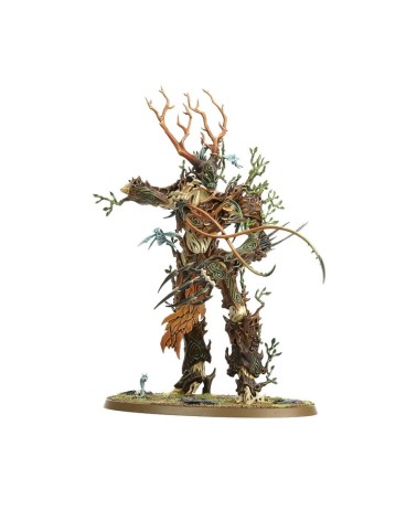 VANGUARDIA: SYLVANETH