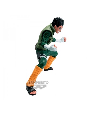 ROCK LEE - NARUTO SHIPPUDEN