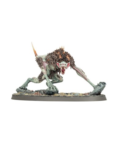 AOS: FLESH-EATER COURTS - SPEARHEAD